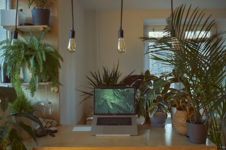 Computerarbeitsplatz mit Monitor und Tastatur als Symbolbild für Windows 10 und IT-Support